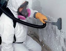 Best Environmental Consulting for Mold Prevention  in Port Washington, NY